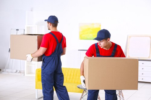 Professional van loading completed with secure cargo and safety checks